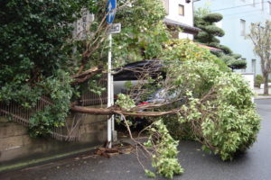 台風２１号襲来