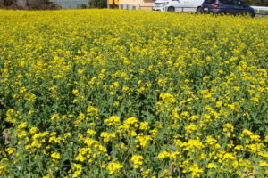 平成最後の３月３１日