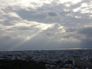 祝！令和になって