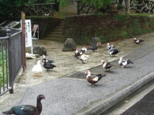 銀行破綻はどこまで続くか