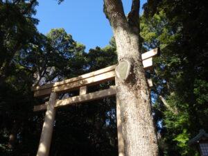 排外主義と非難する者たちへの警告