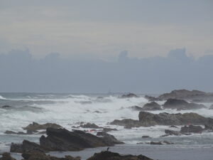 今年の流行語大賞は「粉骨砕身」