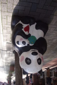 熊より怖い中国人