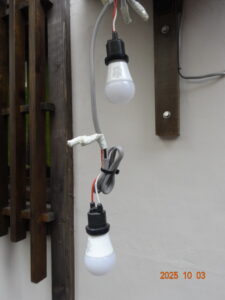 パンダ外交の破綻