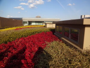 働いて、働いて、働いて、日本頑張れ