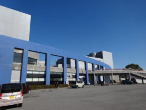 純血派か、実力派か