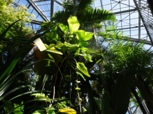 グリーンランドは誰の物か