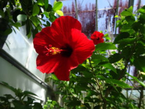 完全なる貿易規制の必要