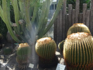 家政婦は労働基準法では守れない