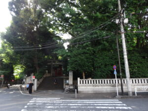 アンポンタンなコスモポリタンの年