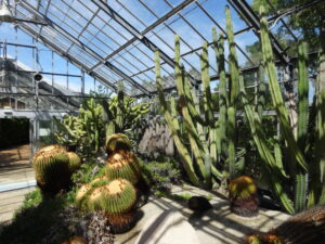 高市自民の圧勝で大期待する