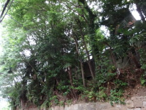 宗教もまた未来がない